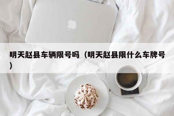明天赵县车辆限号吗（明天赵县限什么车牌号）