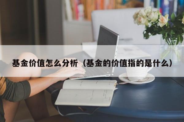 基金价值怎么分析（基金的价值指的是什么）
