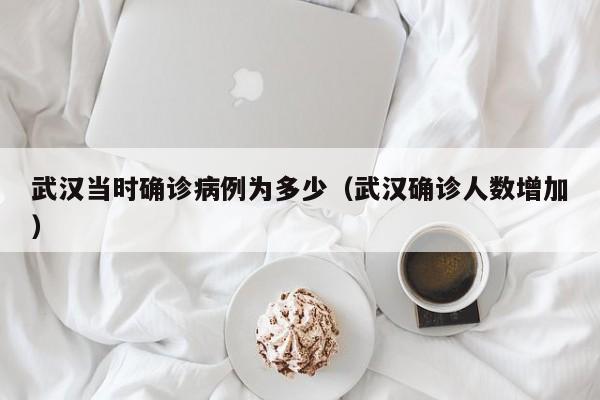 武汉当时确诊病例为多少（武汉确诊人数增加）
