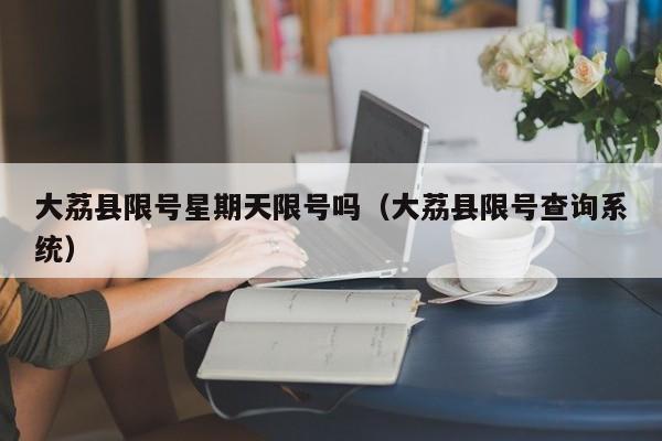 大荔县限号星期天限号吗（大荔县限号查询系统）