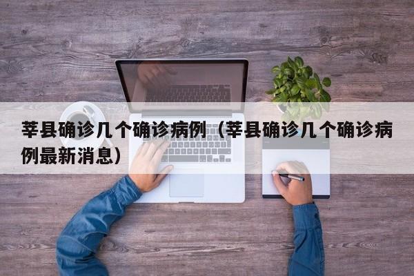 莘县确诊几个确诊病例（莘县确诊几个确诊病例最新消息）