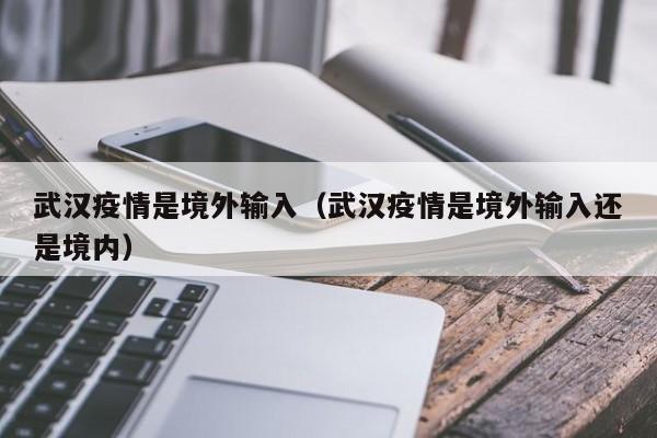 武汉疫情是境外输入（武汉疫情是境外输入还是境内）