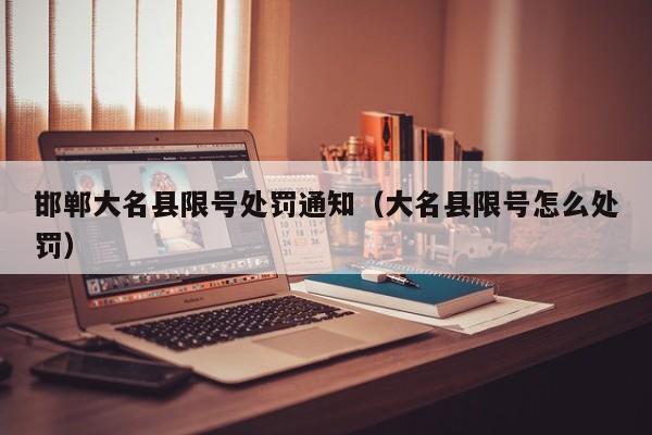 邯郸大名县限号处罚通知（大名县限号怎么处罚）